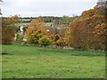 Cornwell village through the trees