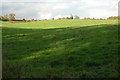 Grazing land near Pow Green