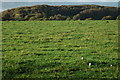 Beacon Hill viewed from the south-east