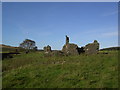  : Ruin at  Easter Earshaig by Colin Kinnear