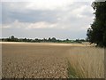 Earlsbury Farmhouse