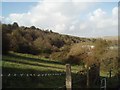 Hillside south of Bevendean