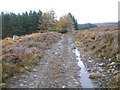 NH3935 : Estate road entering the forest at Cnoc Charaidh by John Ferguson