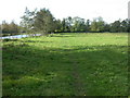 Wimborne, footpath