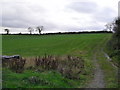 Ballyministragh Townland