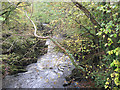 Afon Dyfi looking south from minor road bridge