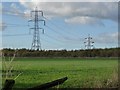 Field and pylons