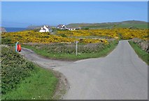 SH2987 : Overlooking the gorse and cottages at Borthwen by Linnet