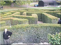 TQ8352 : Maze at Leeds castle viewed from the centre by Basher Eyre
