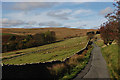 The Abergeirw mountain road north of Pant Glas