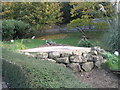 Pond within the aviary at Leeds Castle (2)