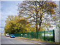 Autumn Colour, Maltkiln Road, Barton Upon Humber