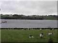 Shaws Lake from the Mowhan Road