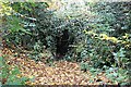 Ice house, Hartlebury Castle