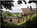 Level crossing, Lanehead (2)