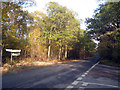TQ9834 : Lane through Orlestone Forest by Oast House Archive
