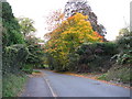 Autumn on Houghton Lane Bury