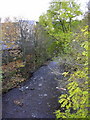 Colne Water from Bridge Street