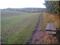 Seat near Gunthorpe Hagg Wood