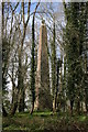 SY8096 : Weatherbury Castle obelisk by DorsetBlogger
