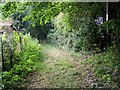 Footpath near Southstoke