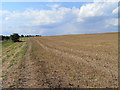 SU2857 : Farmland, Tidcombe by Andrew Smith