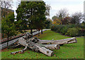 Linear Park inside Wolverhampton Ring Road