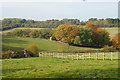 View Towards Kingswood