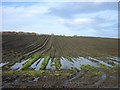 NH7474 : Farmland near Knockgarty. by sylvia duckworth