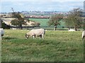 Ditchford on Fosse from near Todenham