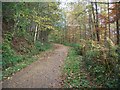 Path to Nidd Gorge