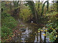 Towthorpe Beck