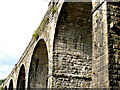 Tavistock, Railway Viaduct