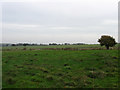 Fountain Meadow