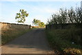 Driveway to Fox Hill farm