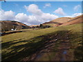 Looking towards Ettrick Hill and Craig Hill