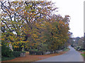 Coleby Road, West Halton