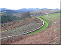 The green lane to Pant Glas