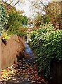 Passageway between Longboat Road & Prospect Road, looking north