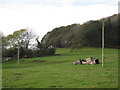 Lulworth area