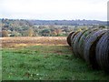 Straw bales near Newtown