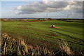 Arable farmland at Rulesmains, Duns