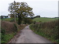 Lane heading towards Clapham