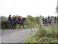 Racehorses, Milborne Port