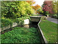 Brook running under Manor Road