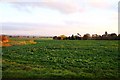 Arable field in Toot Baldon