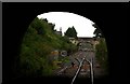 Emerging from Kemble Tunnel