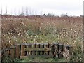 Lough Skitter, Omagh