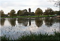 View across Carlingwark Loch, Castle Douglas