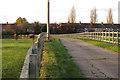 Horses near Redhouse Farm riding school